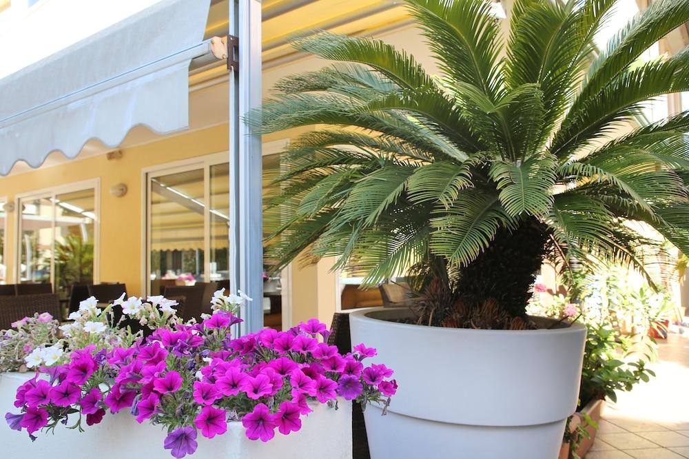 Hotel Elisir ริมินี ภายนอก รูปภาพ
